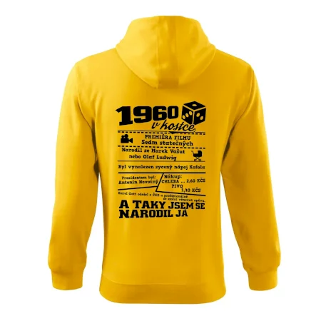 1960 v kostce