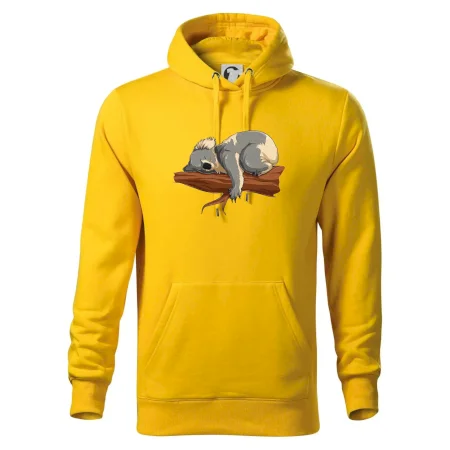 Koala na větvi
