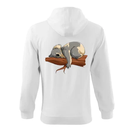 Koala na větvi