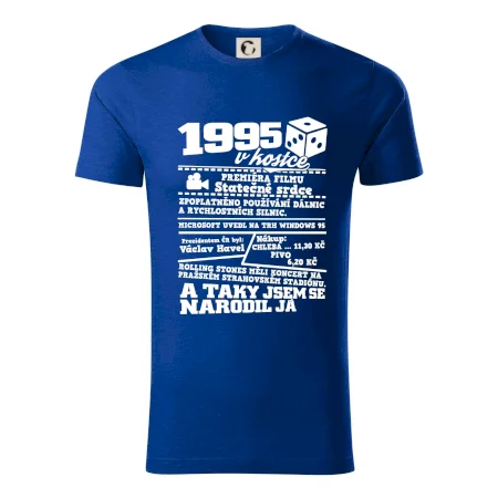1995 v kostce