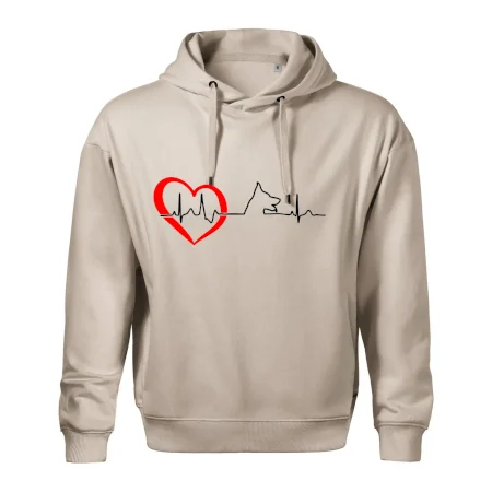 Německý ovčák ekg