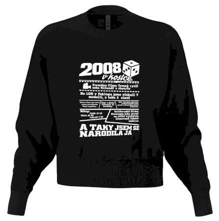 2008 v kostce