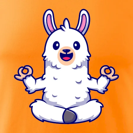 Yoga meditace - lama