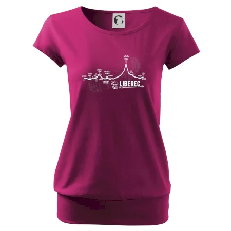 Profil Liberec