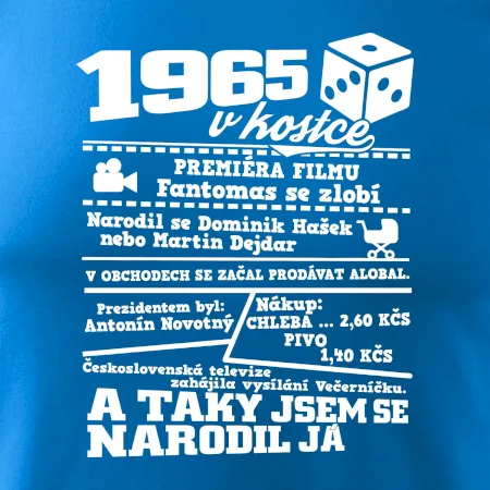 1965 v kostce
