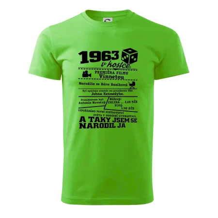 1963 v kostce