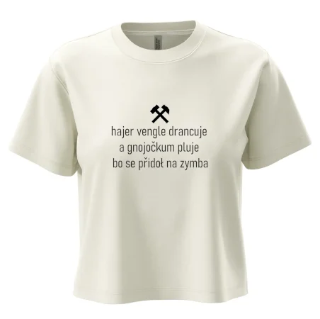 Hajer vengle drancuje a gnojočkum pluje bo se přidoł na zymba