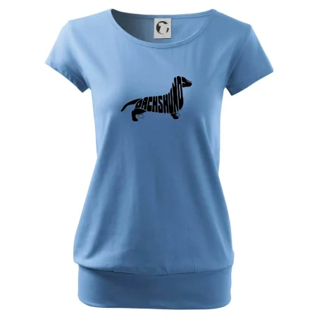 Jezevčík - Dachshund
