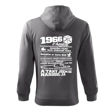 1966 v kostce