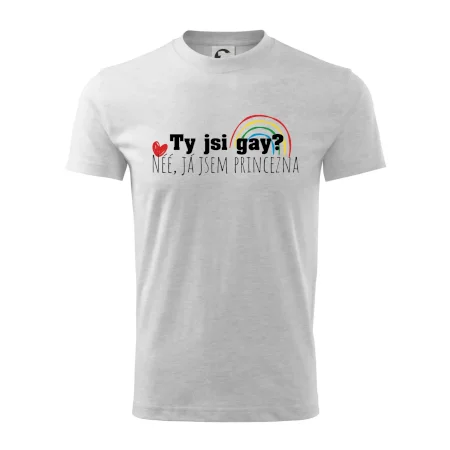 Gay princezna