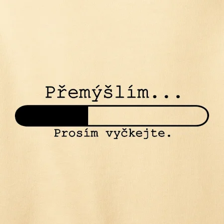Přemýšlím
