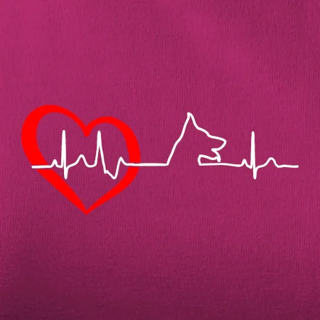 Německý ovčák ekg