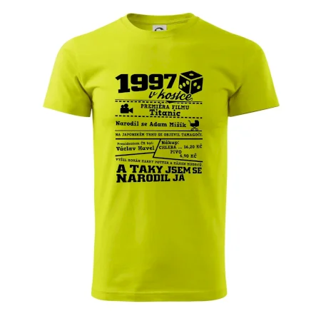 1997 v kostce