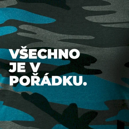 VŠECHNO JE V POŘÁDKU.