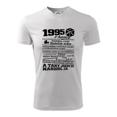 1995 v kostce