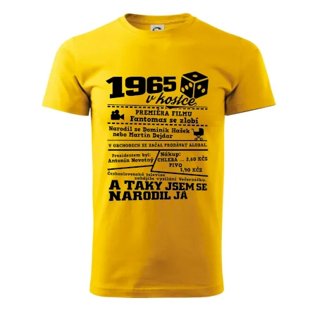 1965 v kostce