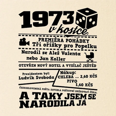 1973 v kostce