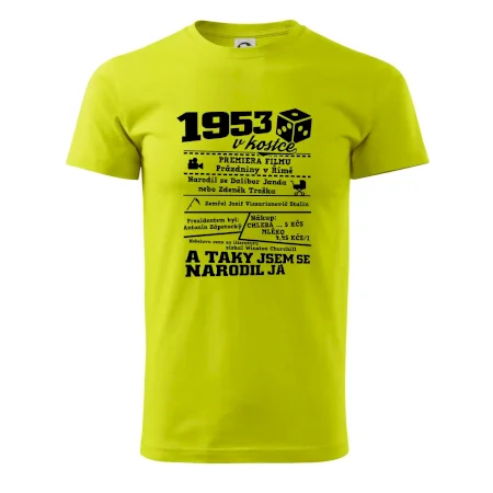 1953 v kostce
