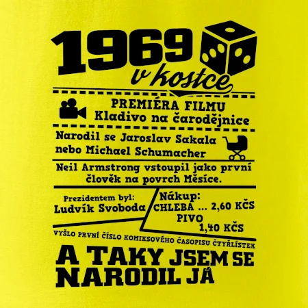 1969 v kostce