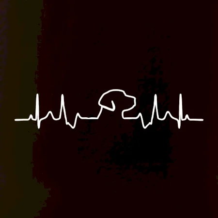 Labrador EKG