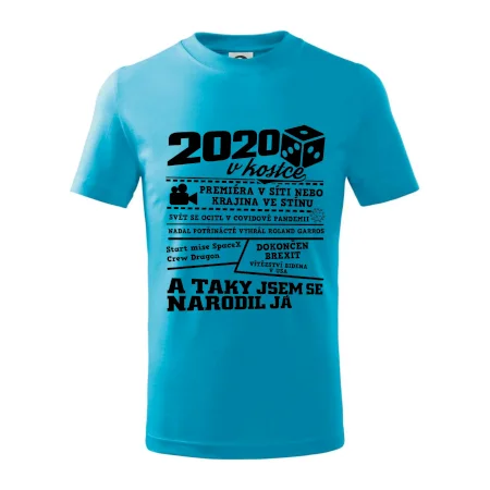 2020 v kostce