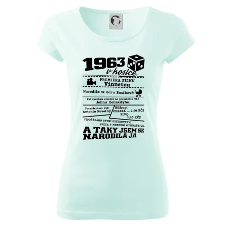 1963 v kostce
