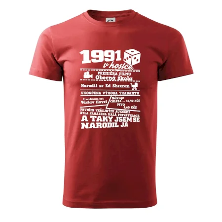 1991 v kostce