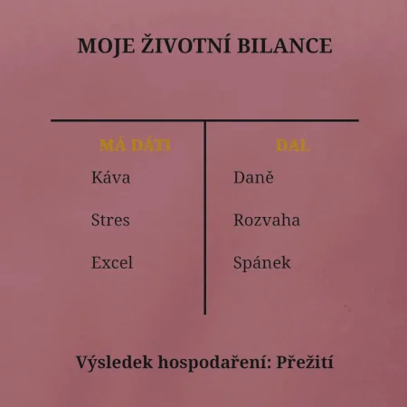 Moje životní bilance má dáti dal