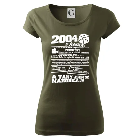 2004 v kostce