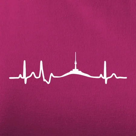 Ekg Jeseníky