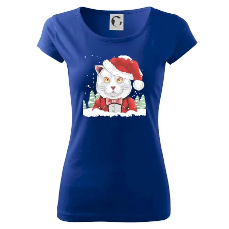 Santa kocour