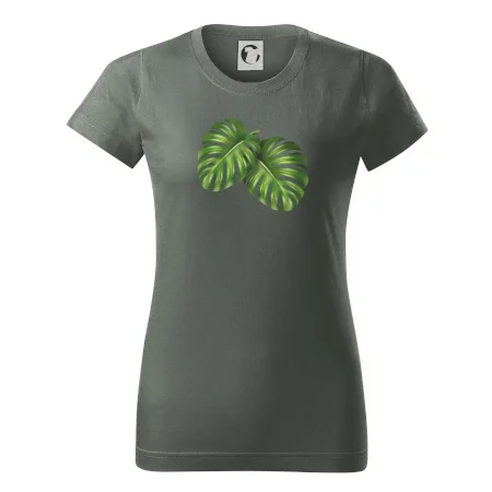 Monstera - dva listy