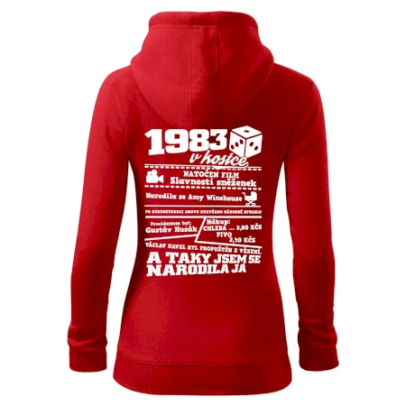 1983 v kostce