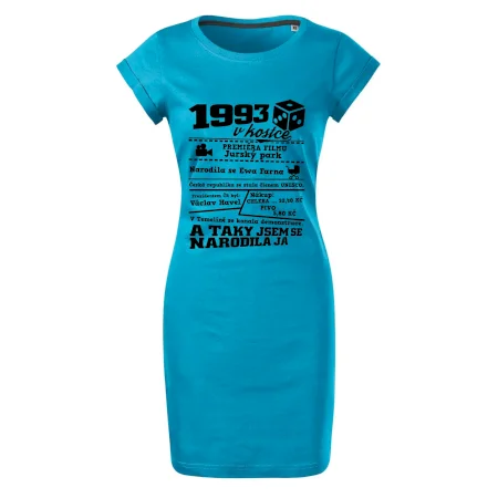 1993 v kostce