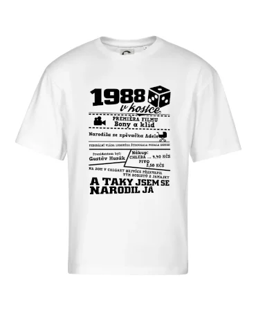1988 v kostce