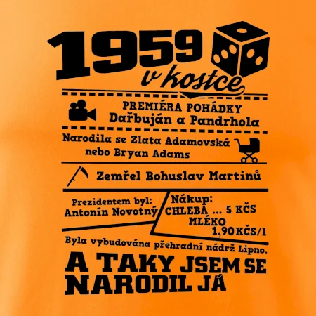 1959 v kostce
