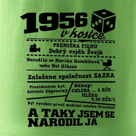 1956 v kostce