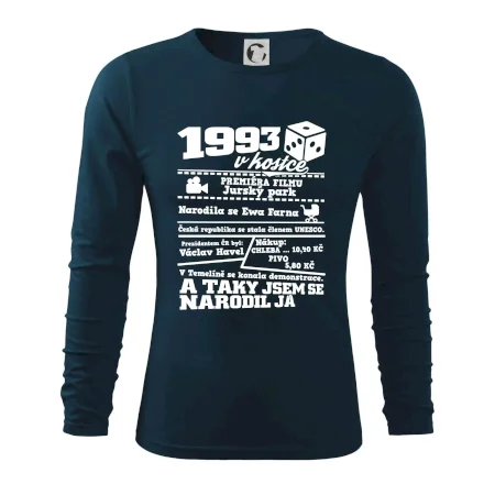 1993 v kostce