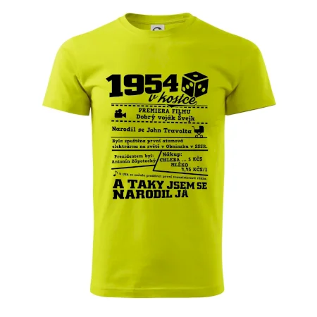 1954 v kostce