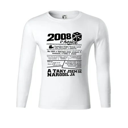 2008 v kostce