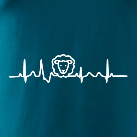 Ekg ovce