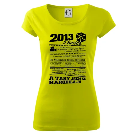2013 v kostce