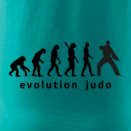 Judo evoluce - úder