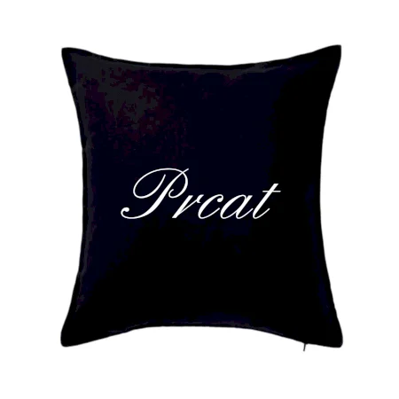 Prcat (souložit vulgárně)
