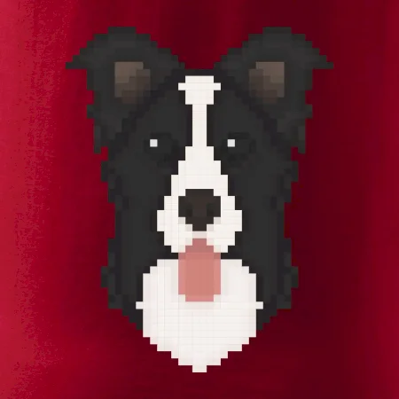 Border kolie Pixel