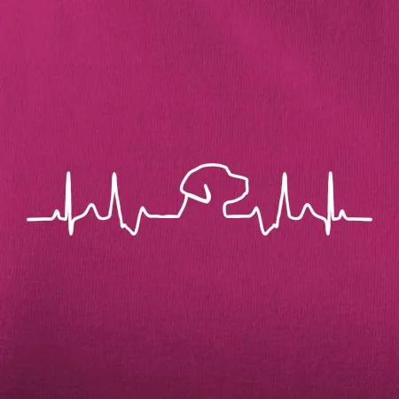 Labrador EKG