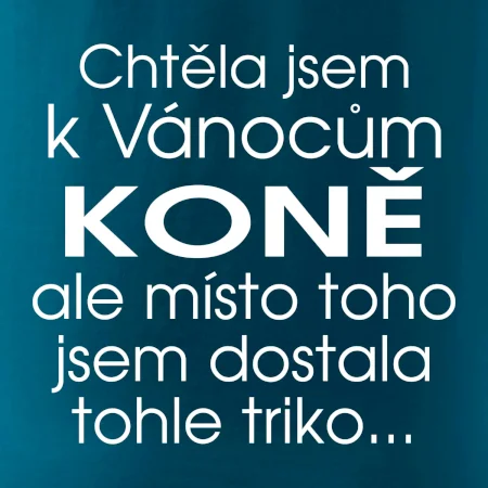 Chtěla jsem k Vánocům koně