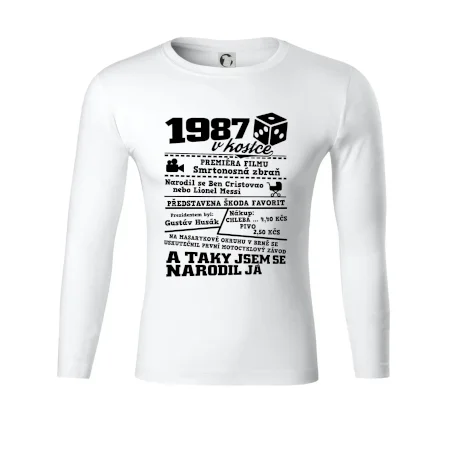 1987 v kostce