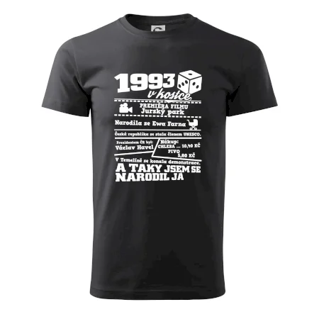 1993 v kostce