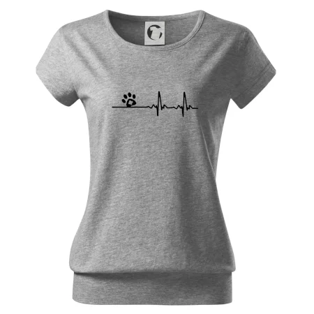 Veterinář EKG